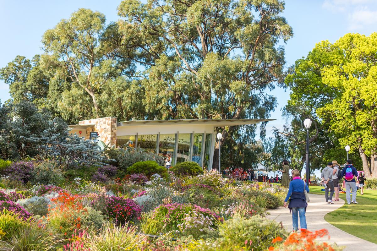 Kings Park, Photo by Jason Thomas