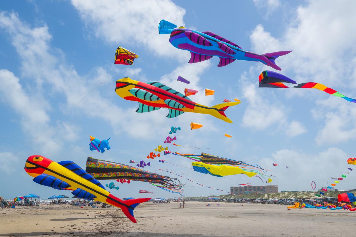 kite-beach-kite fly