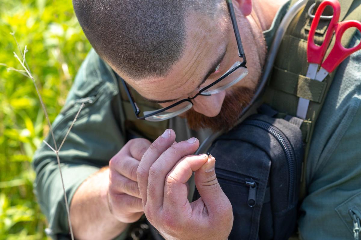 A man looks closely at something small in his hands.