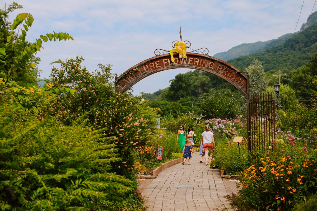 Flowering Bridge Art & Science