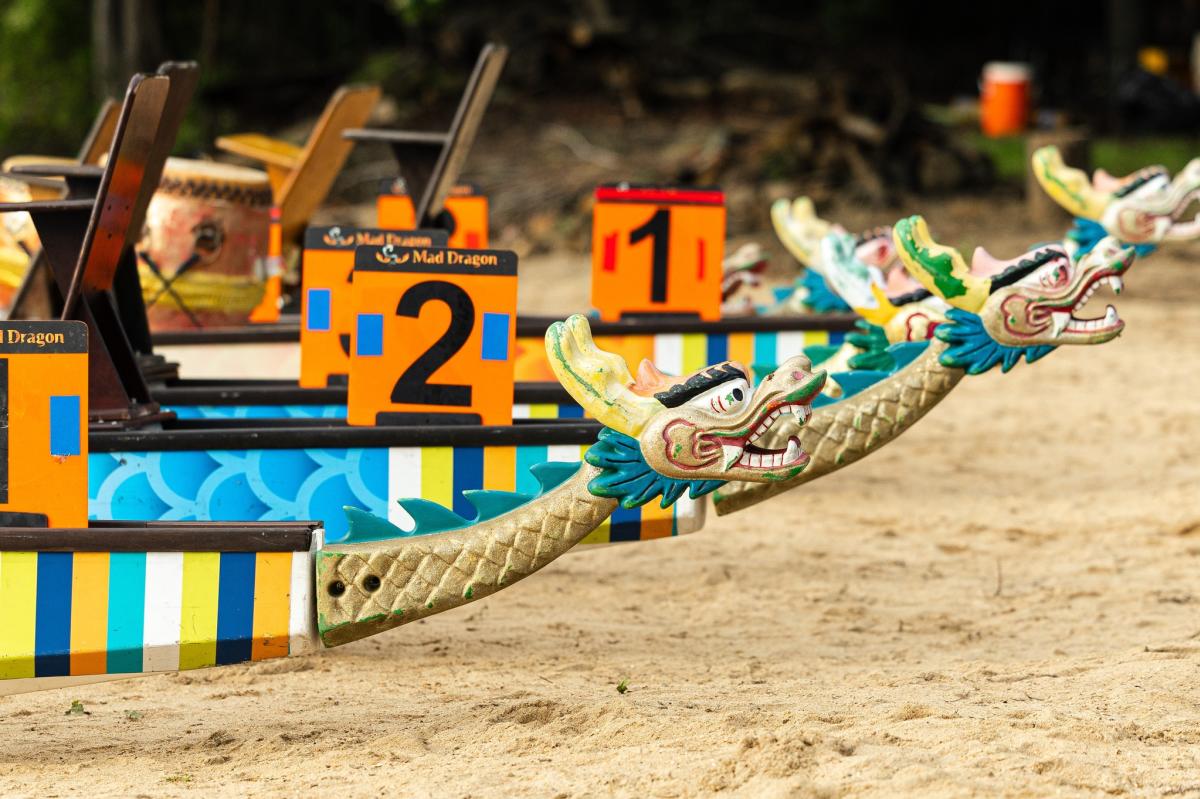 Dragon boats on shore of lake