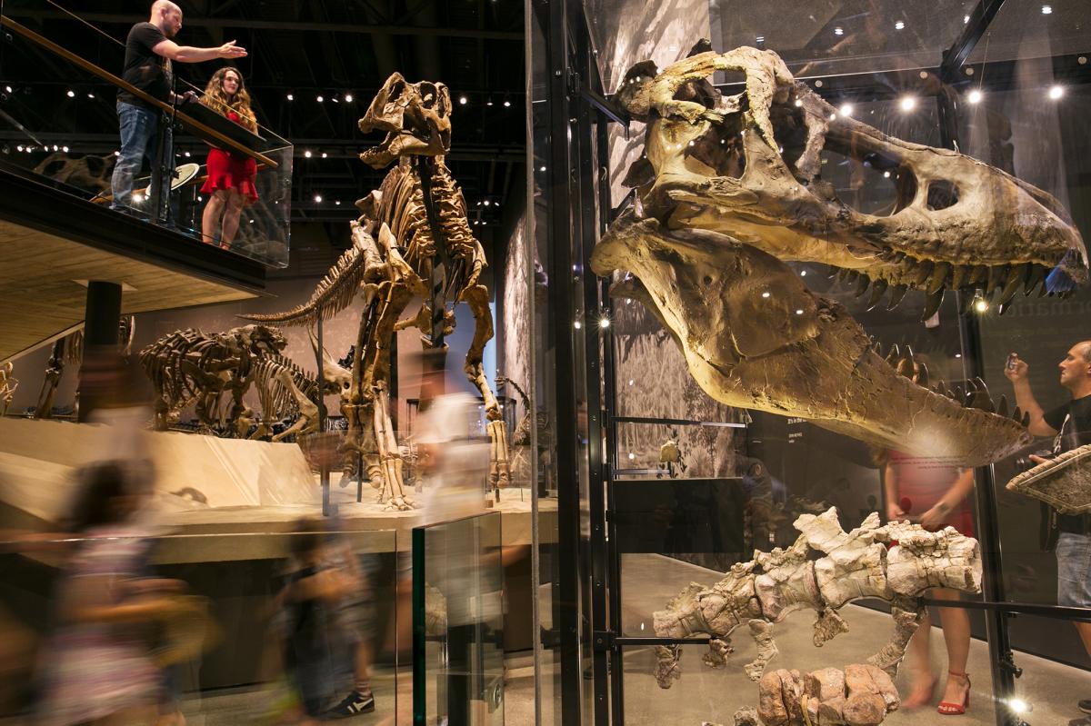 Explore Utah's fossil history at the Past Worlds exhibit at The Natural History Museum of Utah