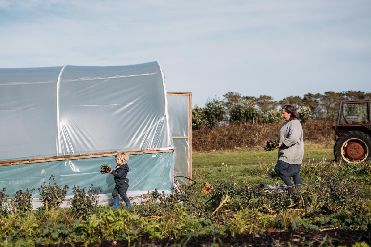 Salakee Farm