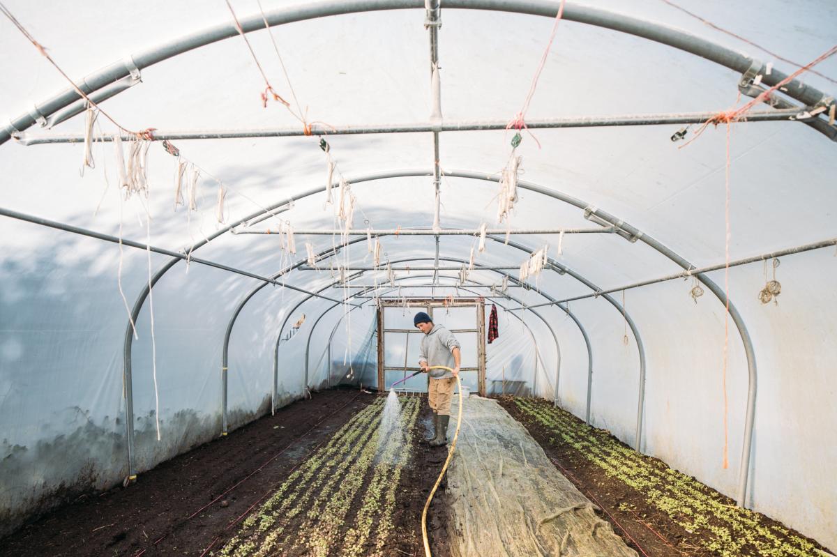 Salakee Farm