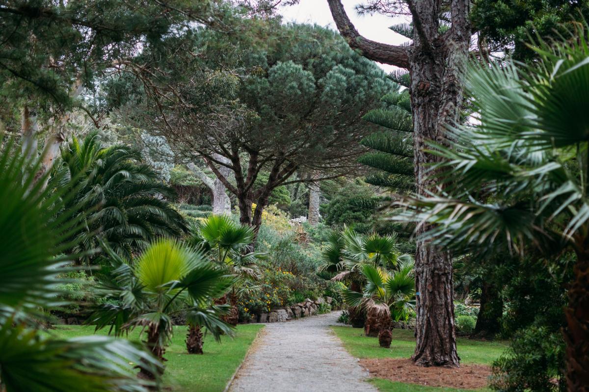 Tree lined path in the Abbey Garden