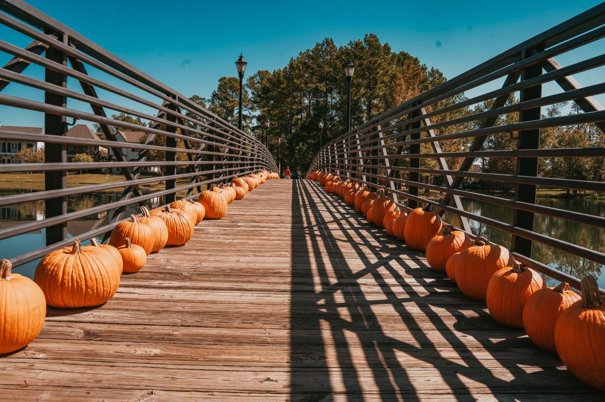 pumpkins