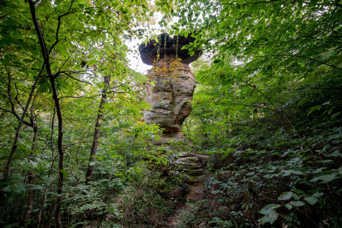 Jug Rock