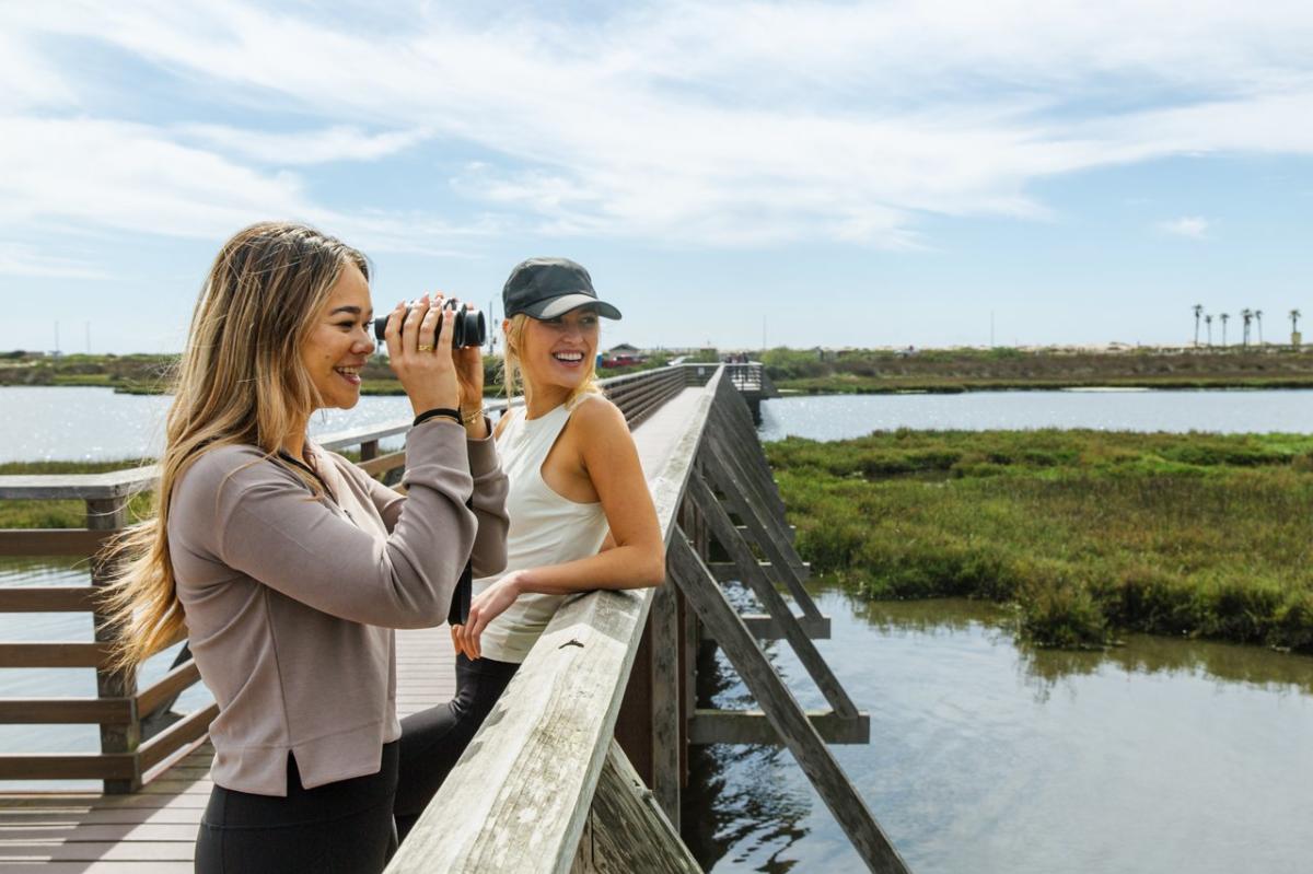 Bolsa Chica Wetlands
