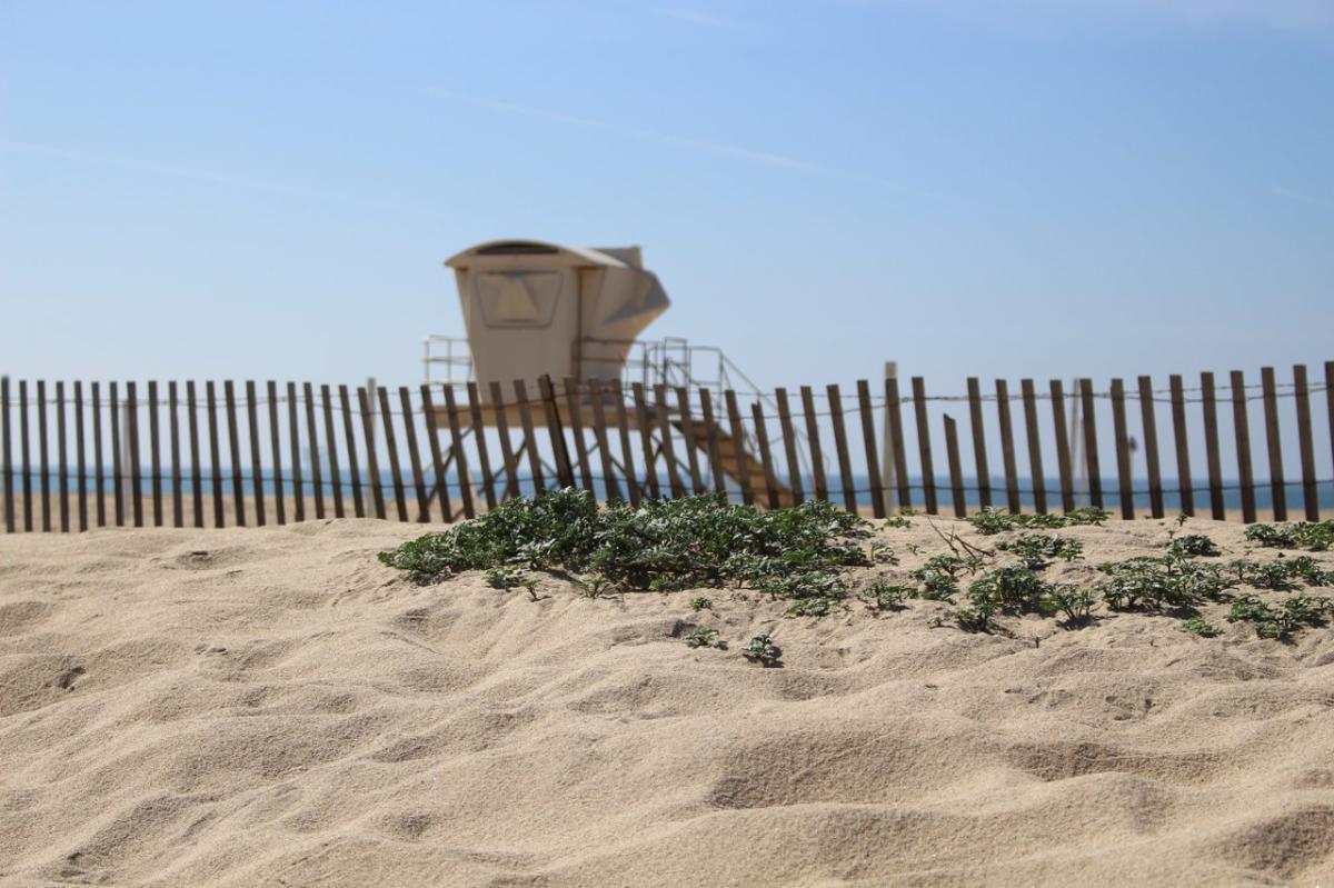 Bolsa Chica State Beach