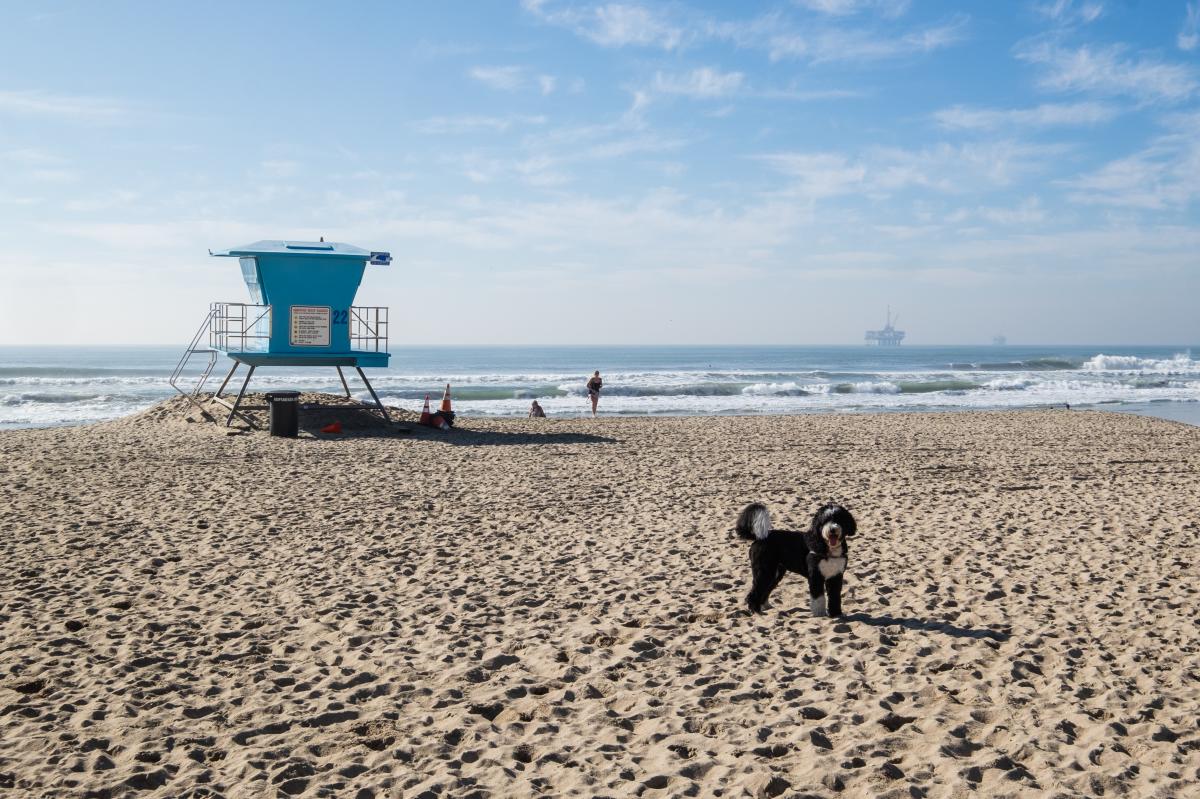 Huntington Dog Beach