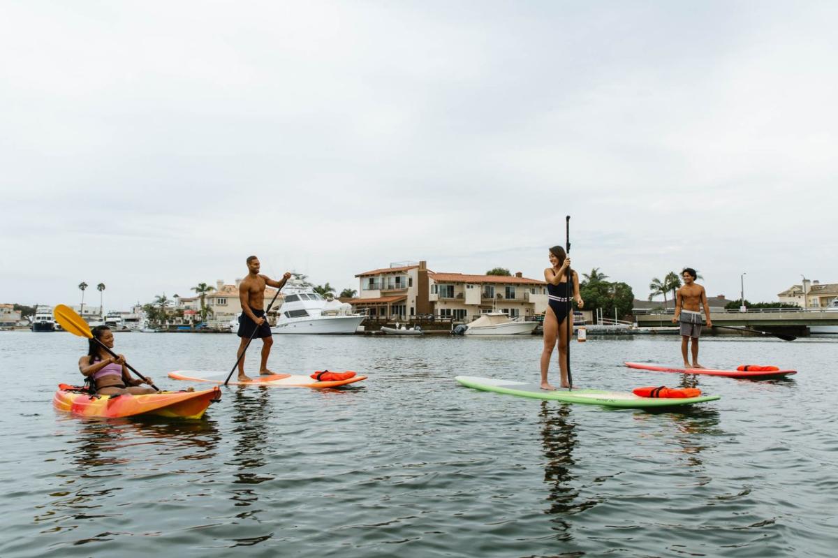 Harbour Paddle Boarding