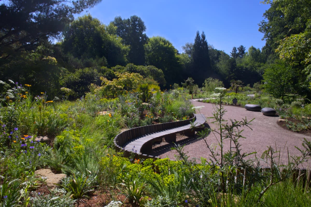 Garden of the Future Sheffield Park by Joe Perkins