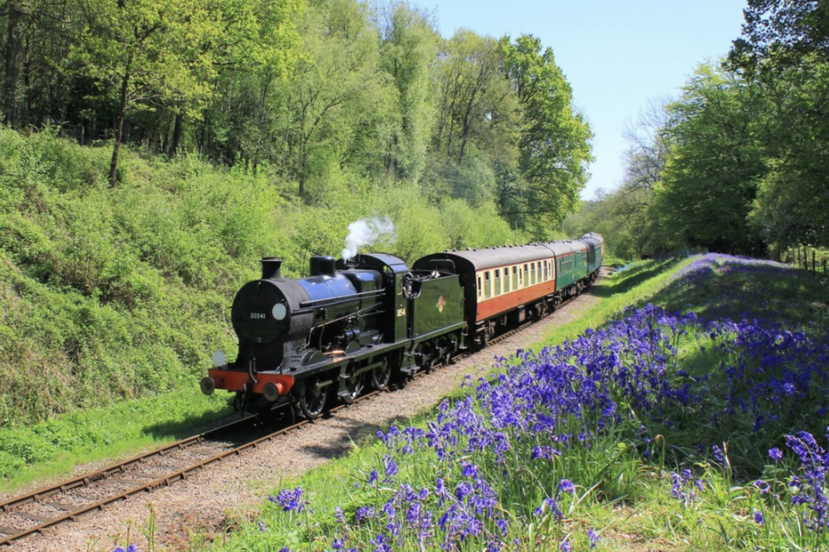 Bluebell railway steam train travelling past bluebell woods in Sussex