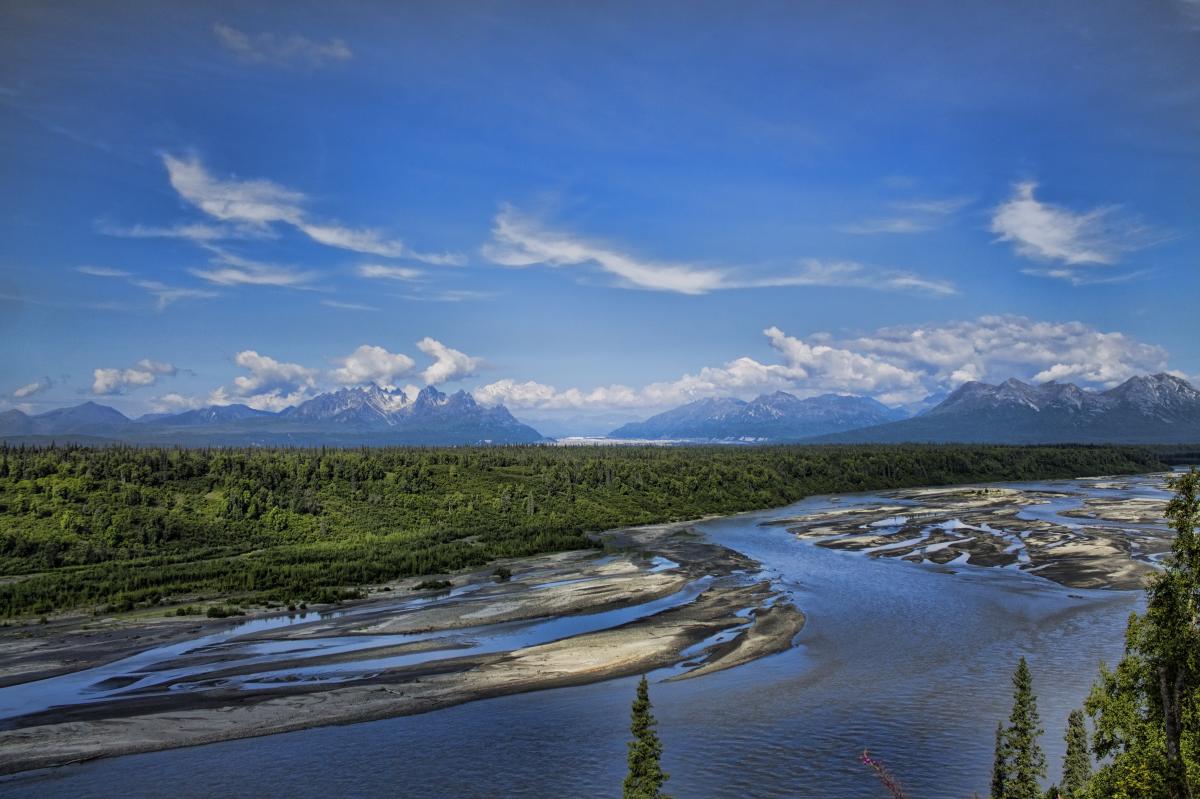 Alaska Denali View