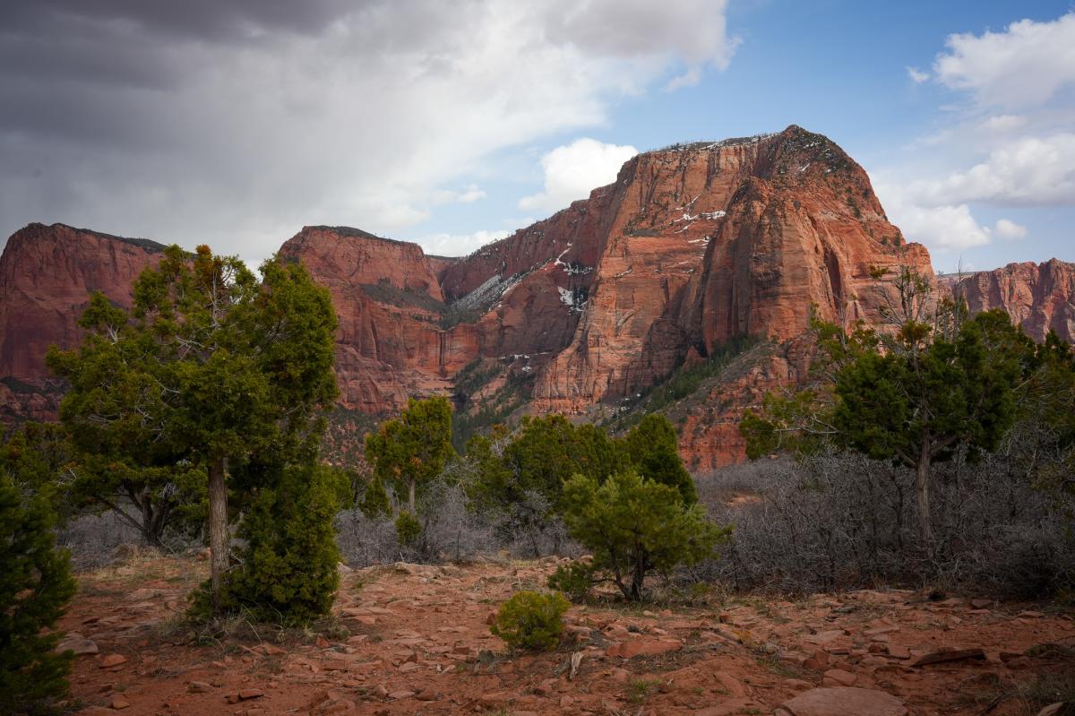 Kolob Canyon_Timber Top