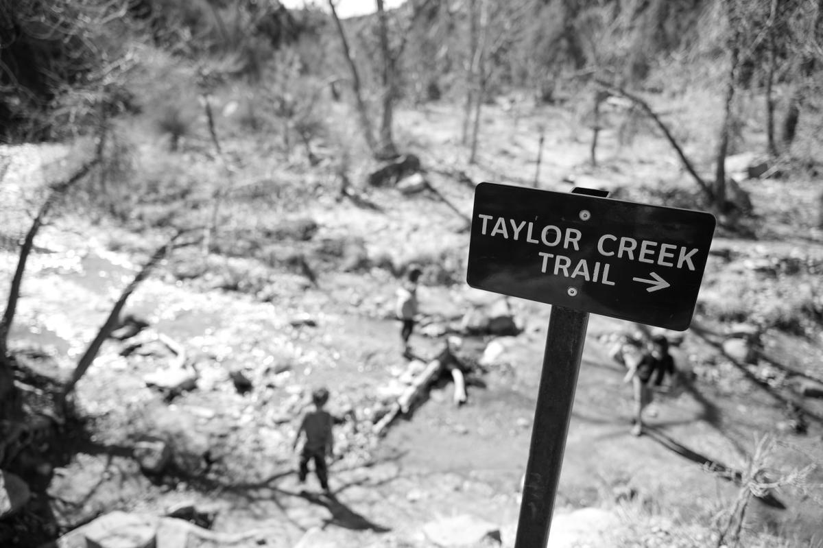 Taylor Creek Playing