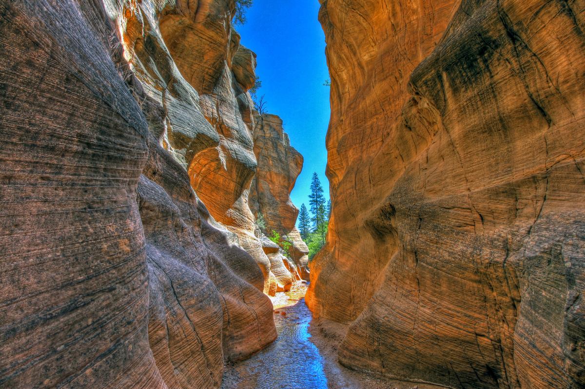 Willis Creek Slot Canyon