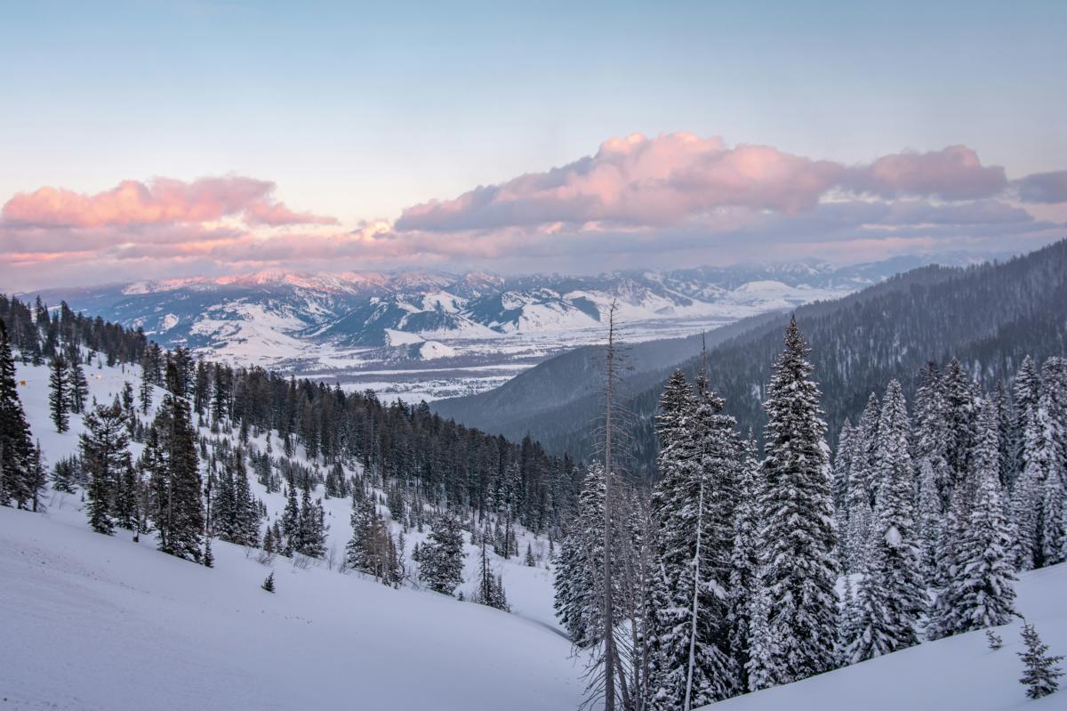 Jackson Snowmobiling