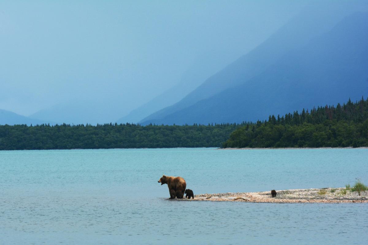 Katmai