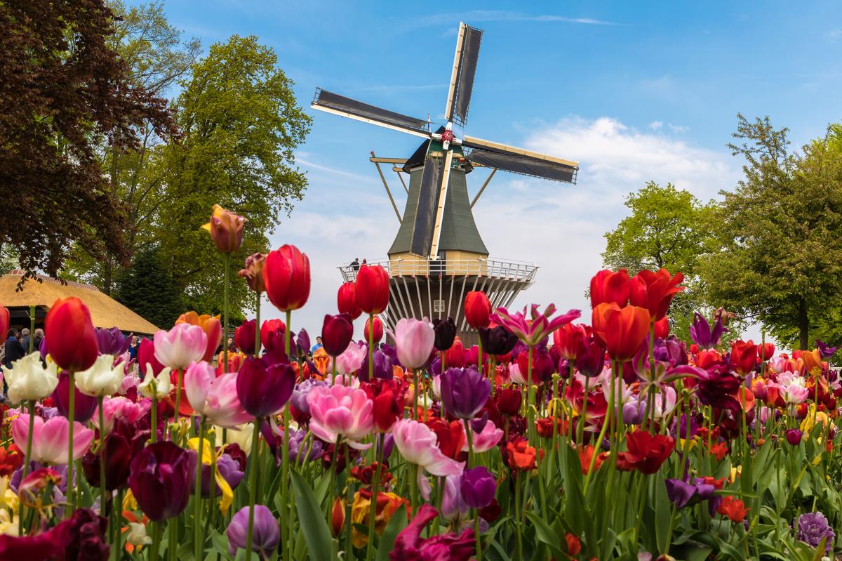 Holland Gardens