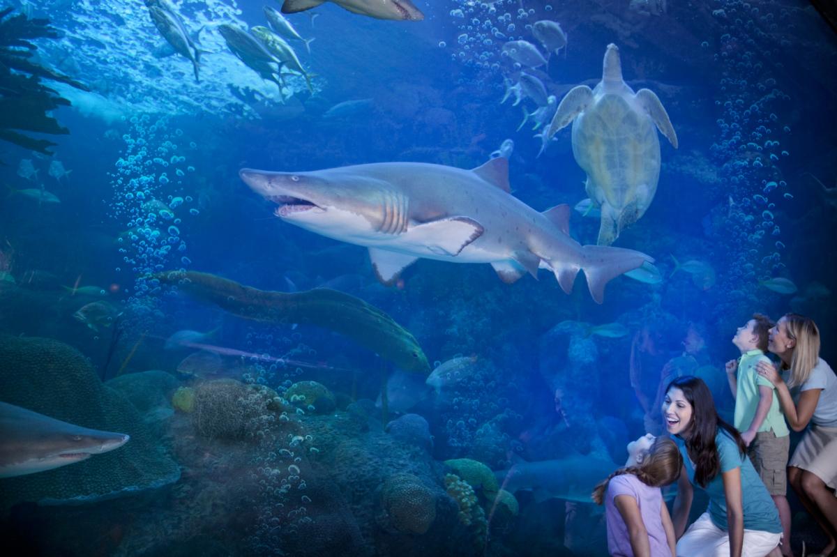 Florida Aquarium
