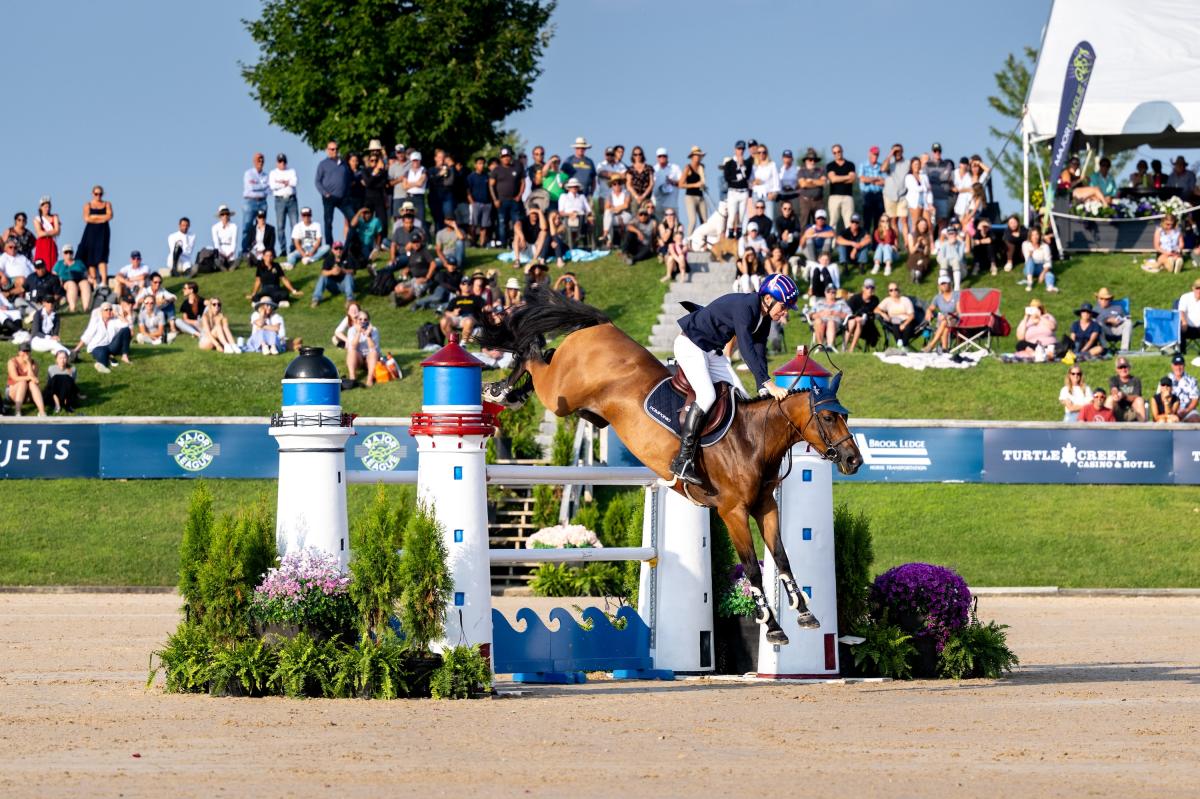 TC Horse Shows