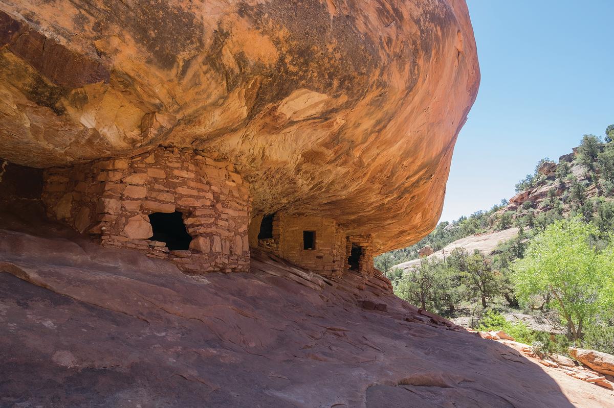 Bears Ears