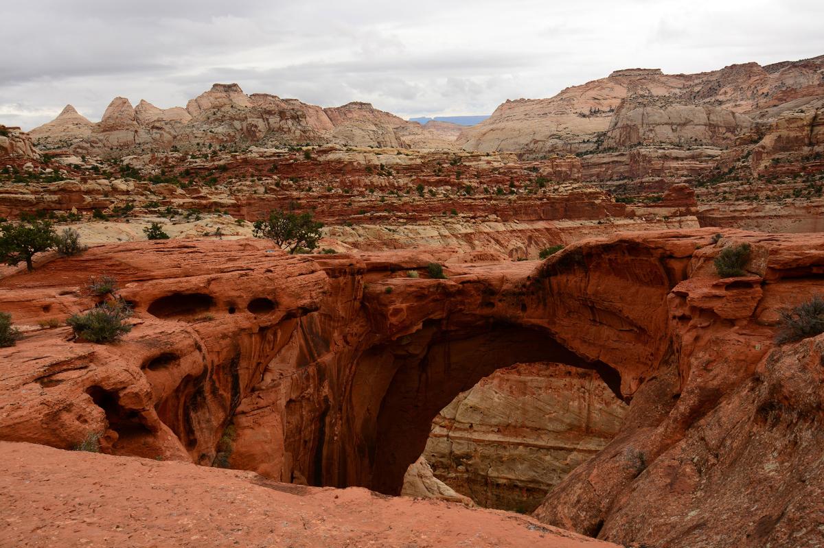 Capitol Reef National Park - Cassidy Arch