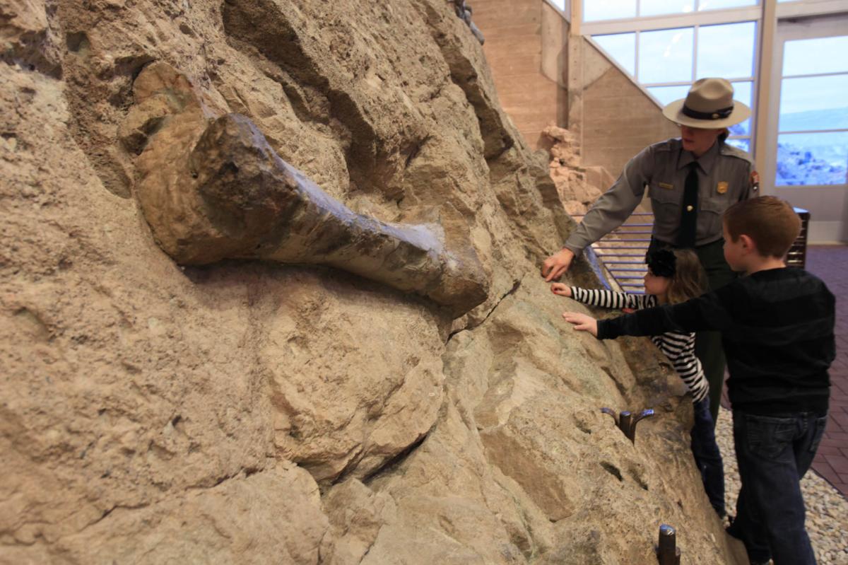 Dinosaur Fossils at Dinosaur National Monument