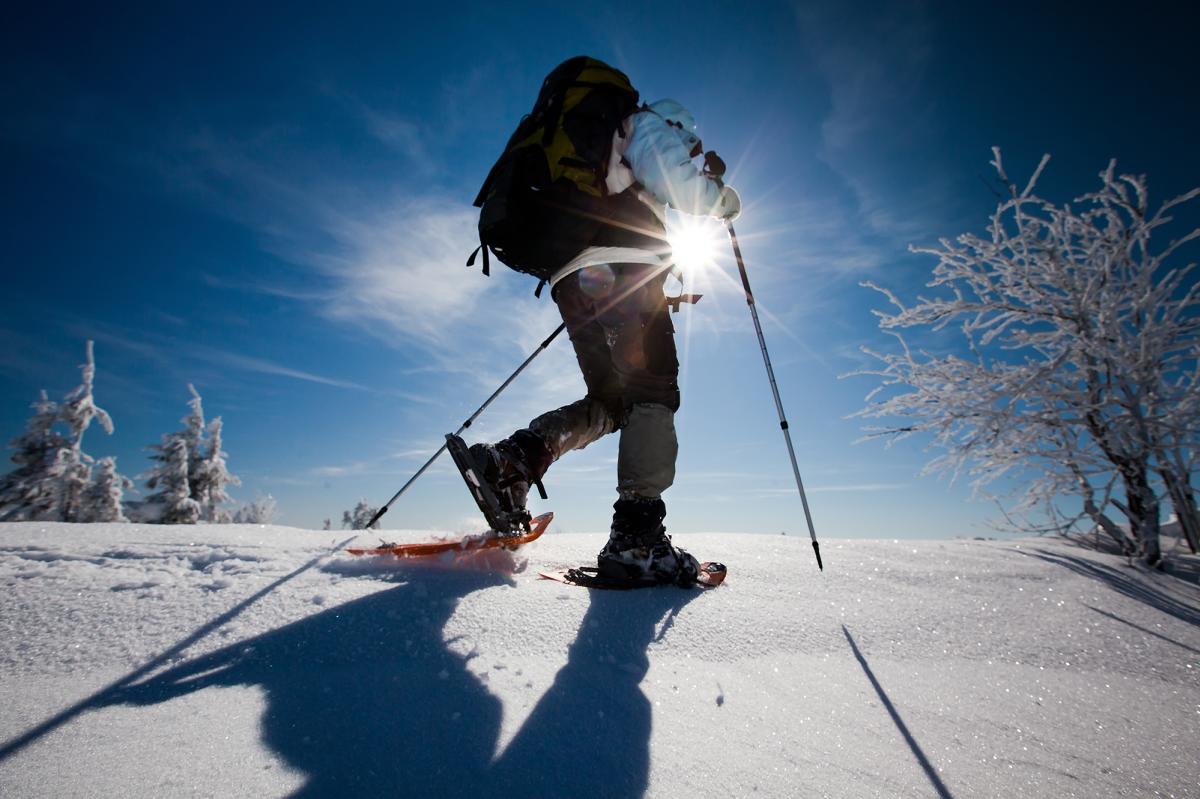 Snowshoeing 118699156.jpg