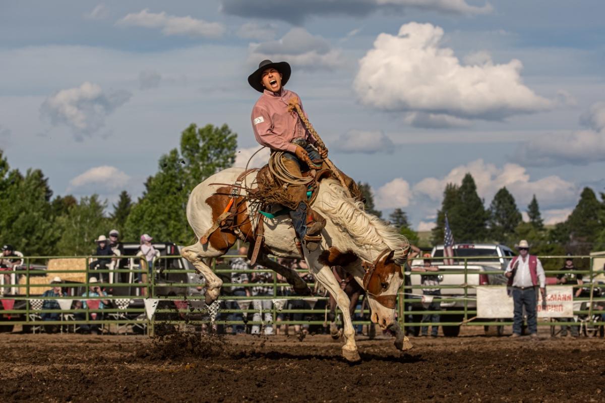 rodeo