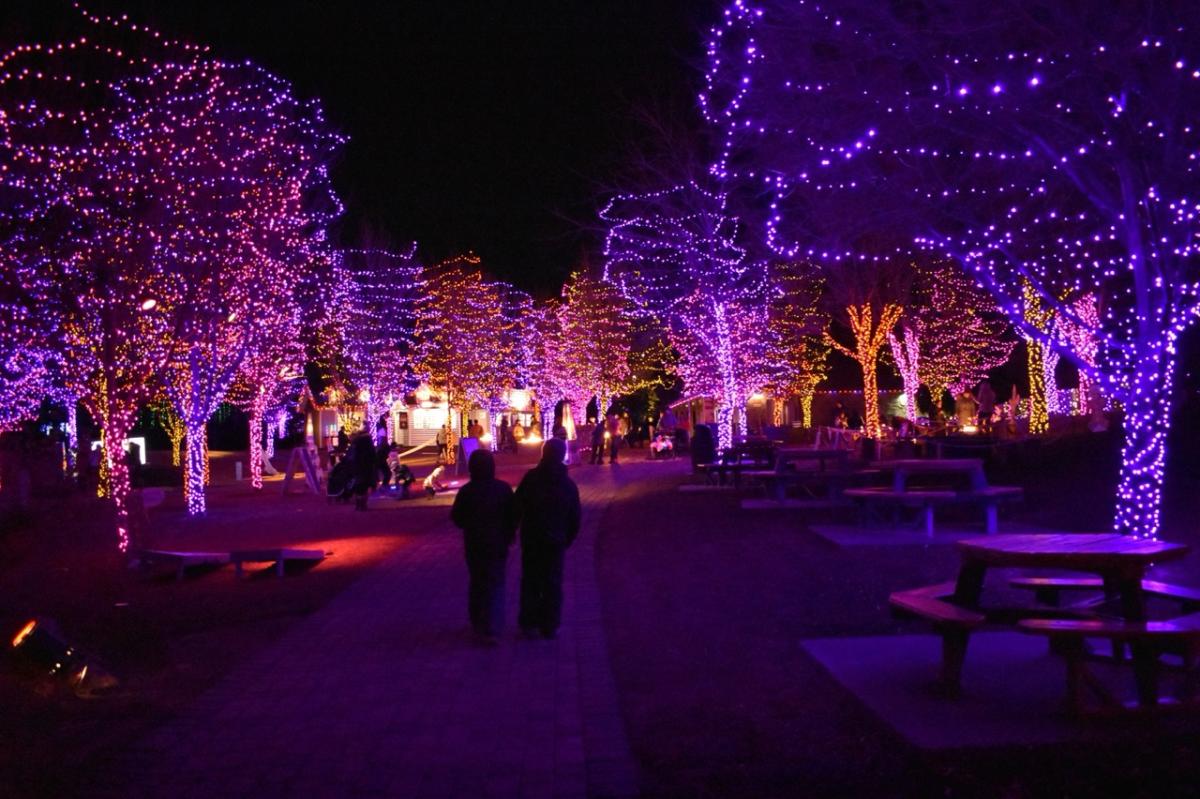 Luminaria Natalie Ockey