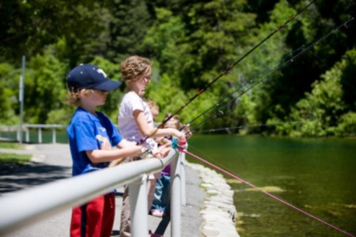 Vivian Park Fishing