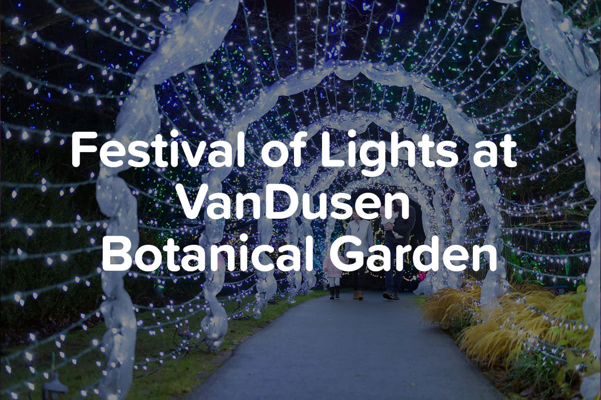 Festival of Lights