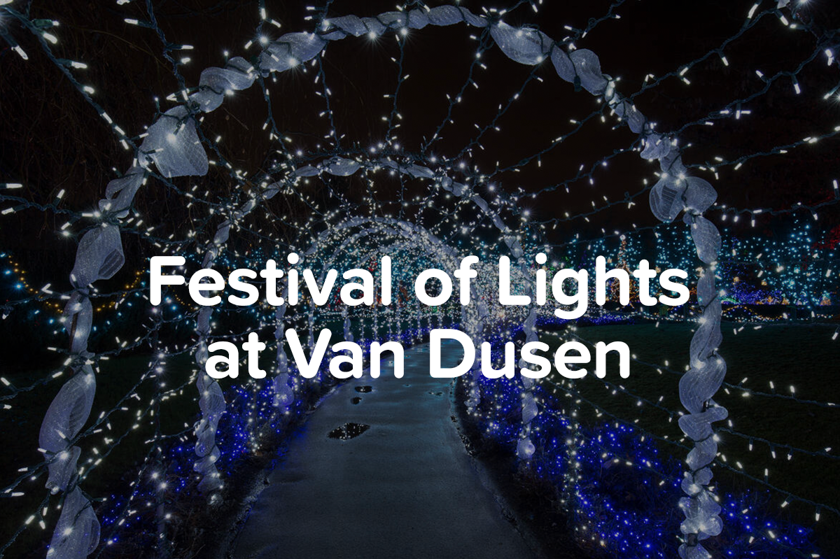 Festival of Lights at Van Dusen