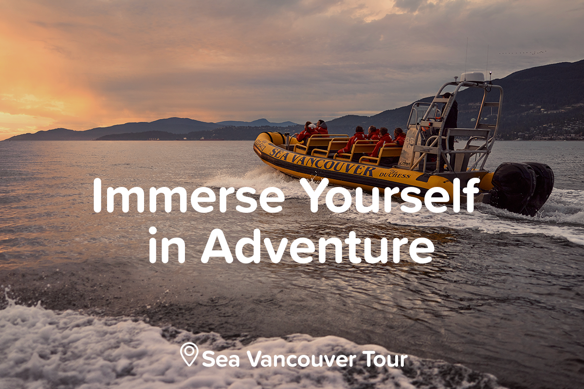 Immerse Yourself in Adventure