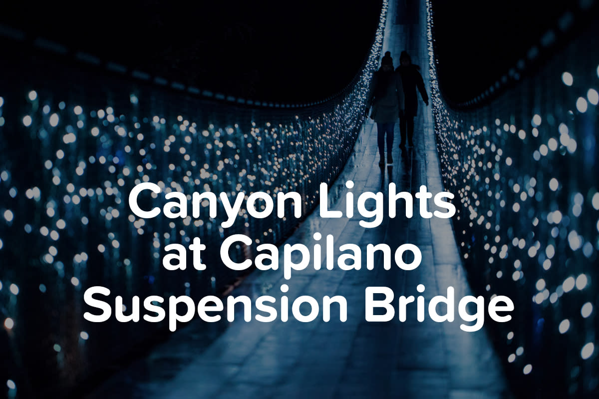 Canyon Lights at Capilano Suspension Bridge