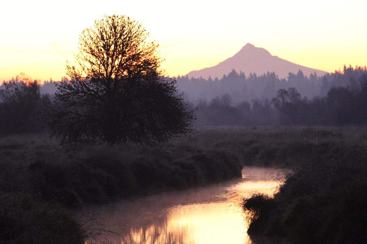 Salmon Creek Greenway Trail