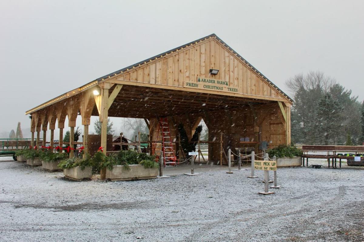 Arader Tree Farm