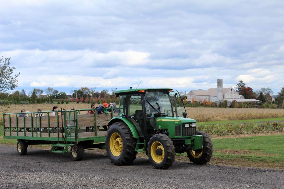 Tractor at Arader Farm