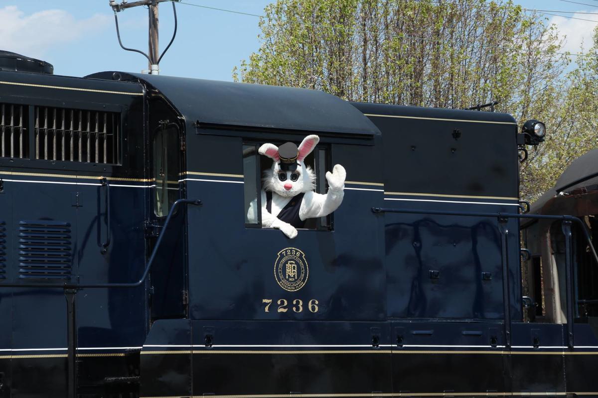 Colebrookdale Railroad Easter Bunny Conductor