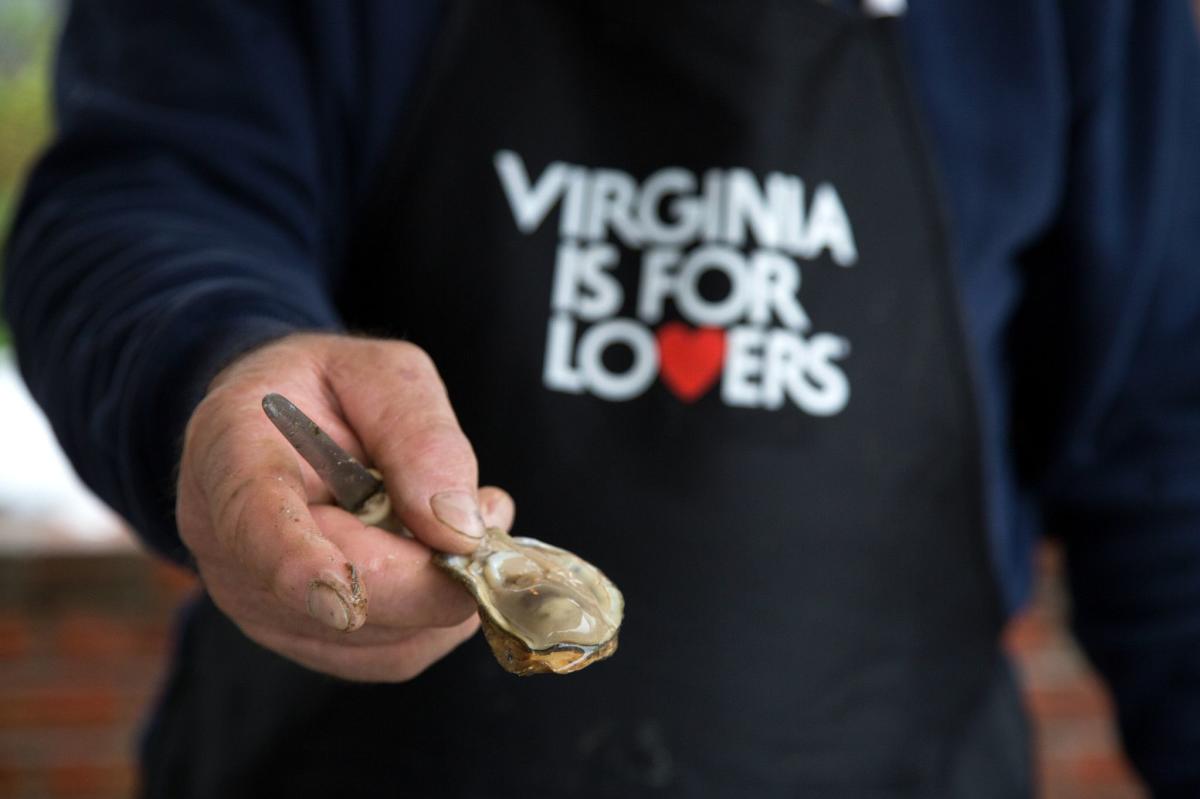 Man in a Virginia is for Lovers apron holds an oyster and a shucking knife