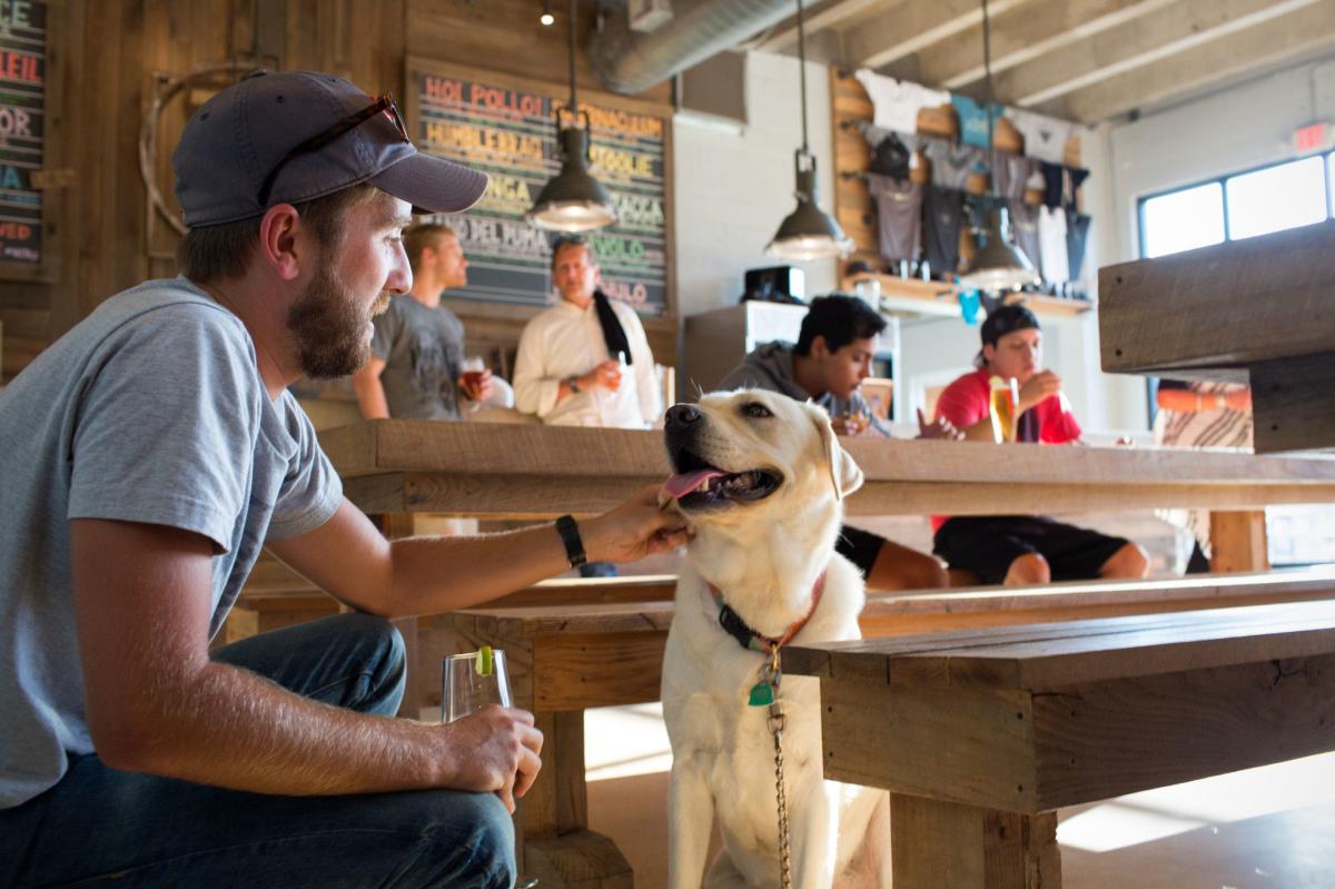Commonwealth Brewing Co