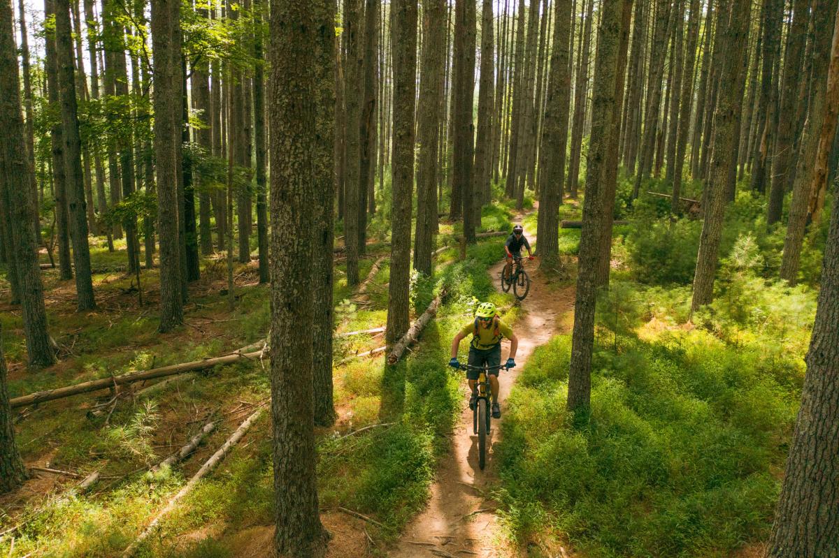 Carvins Cove Natural Reserve