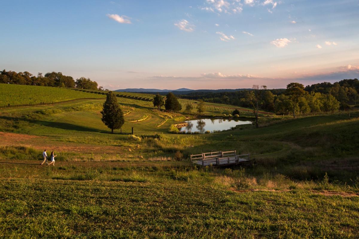 Stone Tower Winery