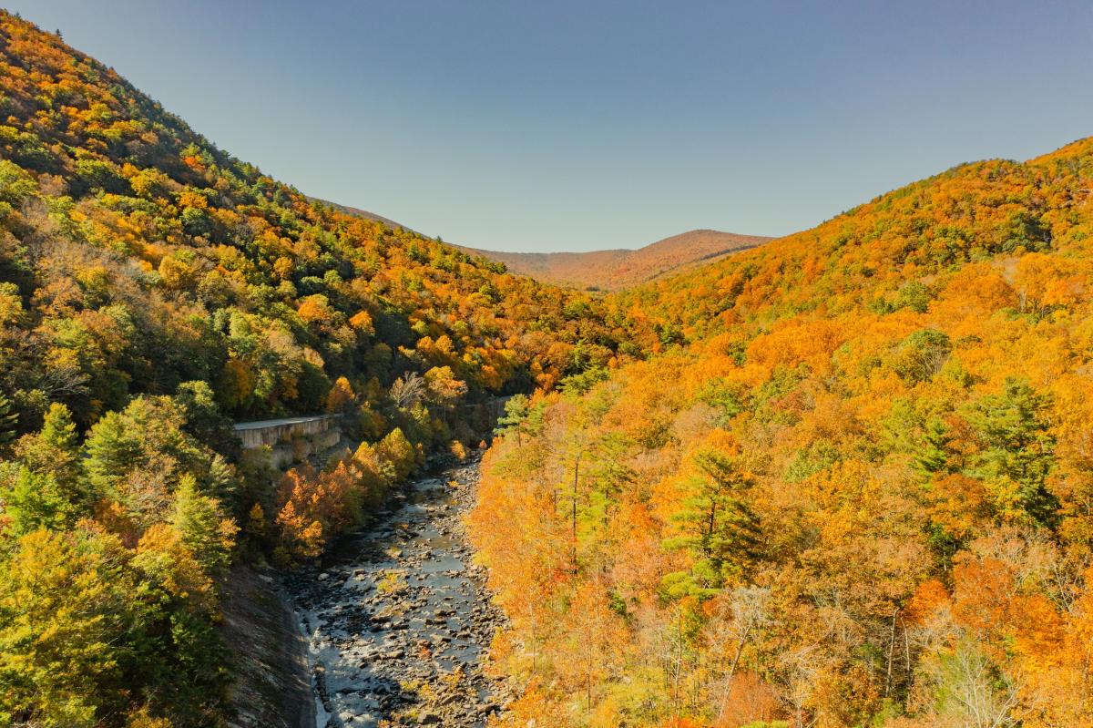 Goshen Pass in the Fall