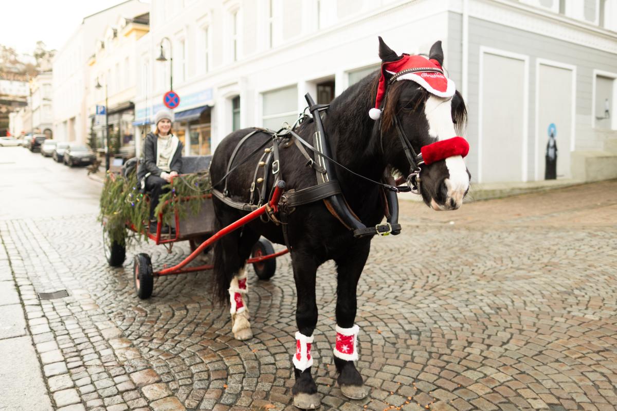 Hest og slede på juletorvet i Arendal