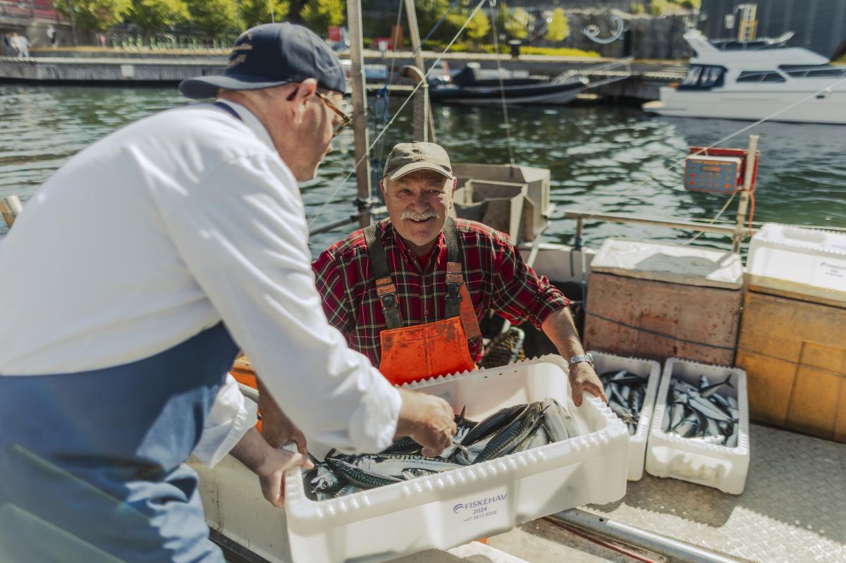 Makrellfisker leverer fersk fisk til Reinhartsen