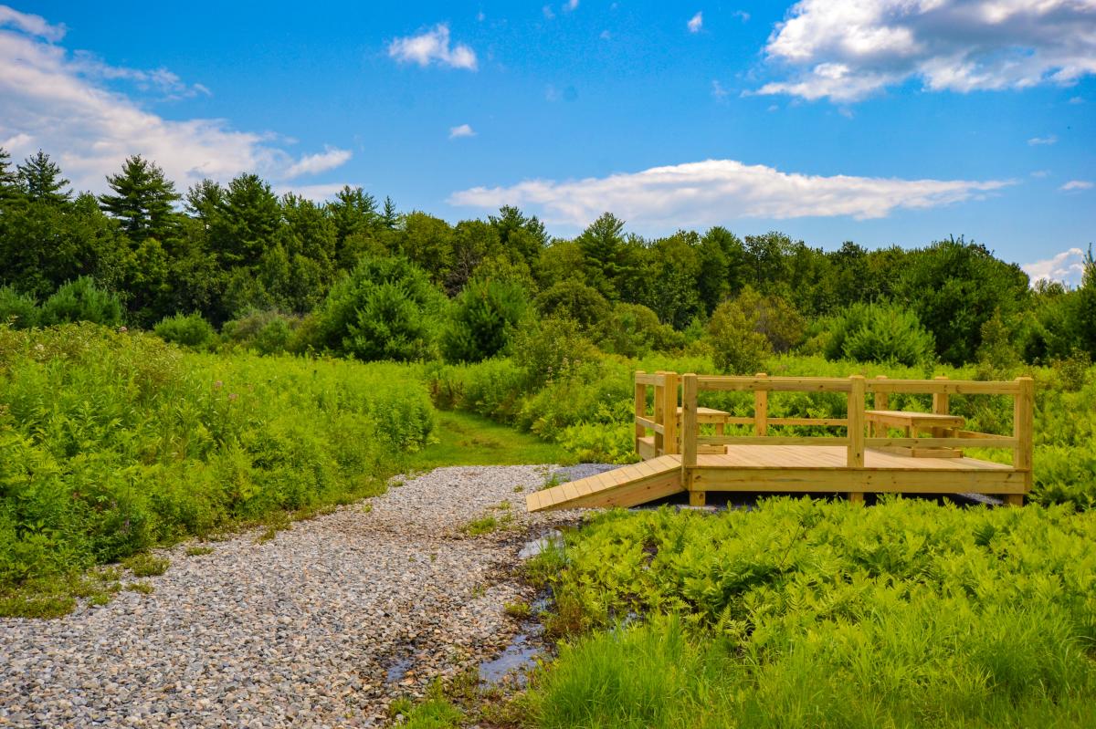 Meadowbrook Preserve