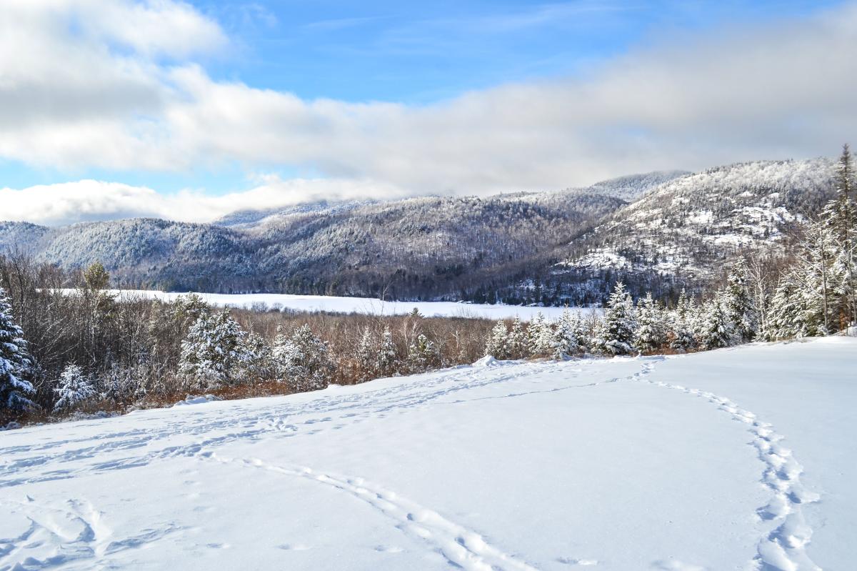 Garnet Hill Lodge - Winter